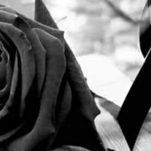 Meet your Posher, Ivan